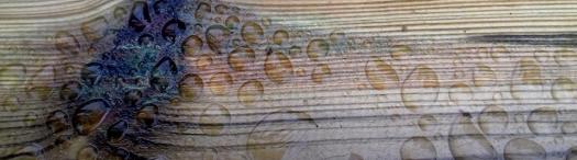 31870837_2082031782076763_4993343113066971136_n